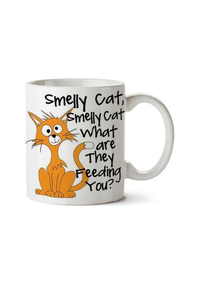 Smelly Cat Kokan Kedi İki Tarafı Baskılı Kupa Bardak Çok Renkli