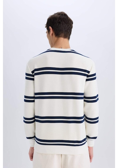 DeFacto Regular Fit Bisiklet Yaka Dokulu Sweatshirt D7595AX25SPWT32