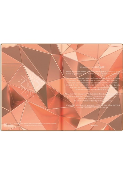 Metalik Notebook Düz Defter Shıne 17x24