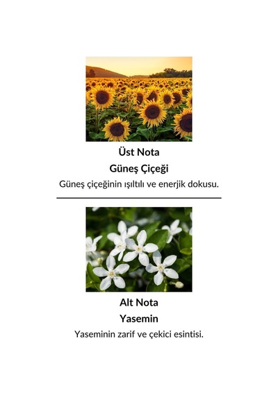Alescia St-90 Kadın Parfüm EDP 50 ML