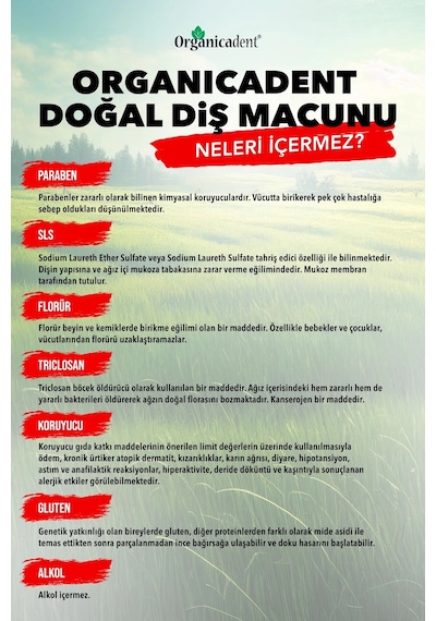 Organicadent Üçlü Koruma Doğal Diş Macunu 75 Ml Diğer