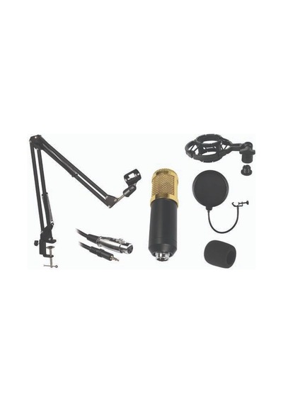 Gold Audio Stu-001 Stüdyo Mikrofon Kayıt Seti