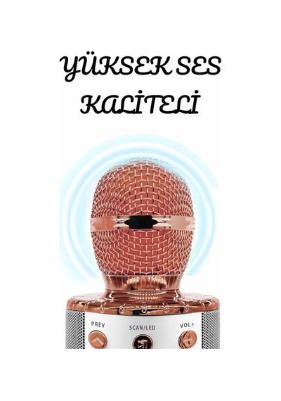 Hubrendy Tekno Şarjlı Ve Uzun Pil Ömürlü Karaoke Mikrofon Usb Bellek Destekli, Profesyonel Ses