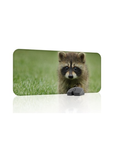 Rakun Kaymaz Dikişli Kauçuk Oyuncu Mousepad V2 - 70x30 Xl Gaming Mouse Pad Fare Altlığı