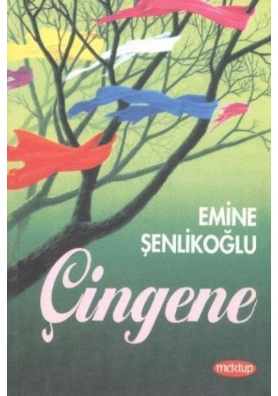 Çingene - Emine Şenlikoğlu - Mektup Yayinlari