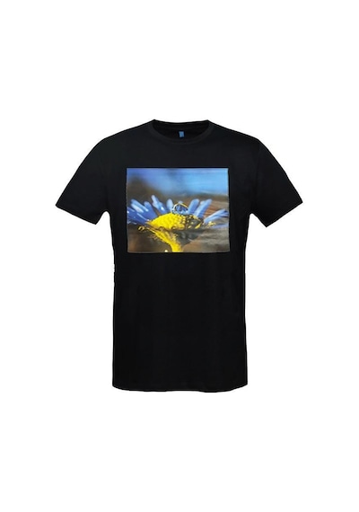Grey Cat Premium Tema Logolu Kadın T-shirt Ukrayna Giyinmek Tasarım Yeni Sezon 001-siyah