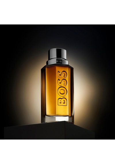 The Scent 100ml Edt + Sg100ml+ Deostick Set Parfüm Erkek Diğer
