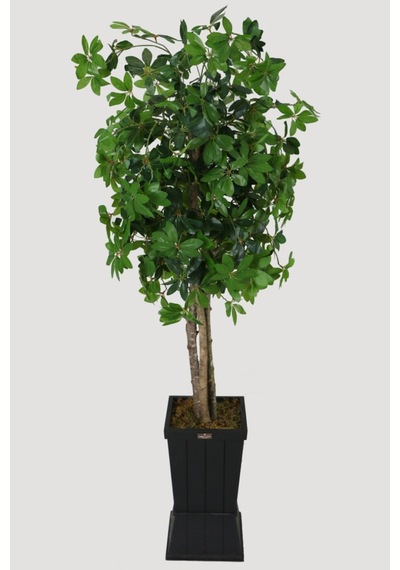 Yapay Çiçek Deposu Ahşap Saksıda Yapay Schefflera Şeflera Ağacı 180 Cm