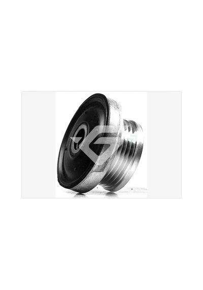 Alternatör Kasnağı Megane - Clio 2 - Kangoo - Twng - Symbol 2 2001 5 Kanalli K9k - K4m Burçlu