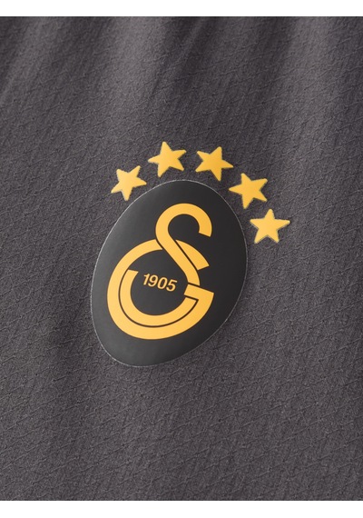 Gsstore Galatasaray Puma 2026/2027 Deplasman Profesyonel Şort 78502105 Antrasit
