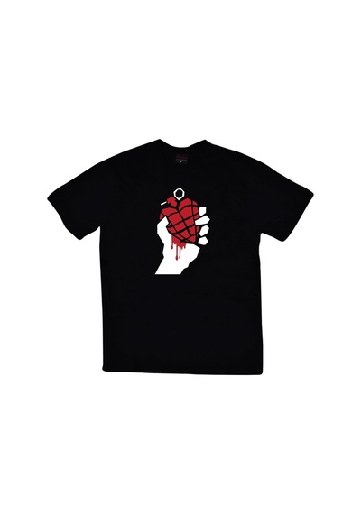 Green Day Baskılı T-Shirt (440860528)