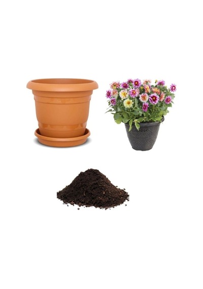 Karışık Dahlia Çiçeği Tohumu Ekim Seti