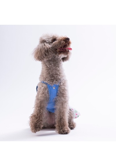 Ruby Slice Denim Karpuz Desenli Kot Kedi Köpek Elbisesi - Kedi Köpek Kıyafeti