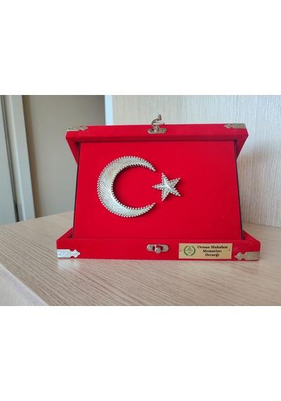 Orman Muhafaza Memurları Derneği Logolu Türk Bayraklı Plaket Kadife Kutulu-küçük Boy 12