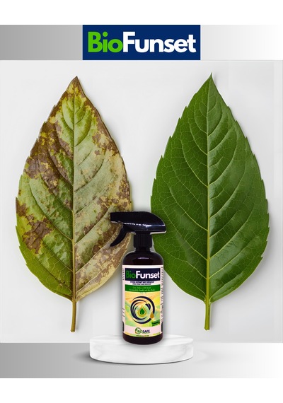 BioFunset 500 ml – Ev ve Süs Bitkilerinde Görülen Mildiyö, Külleme ve Küfleşmeye Yönelik Doğal Bakım Ürünü