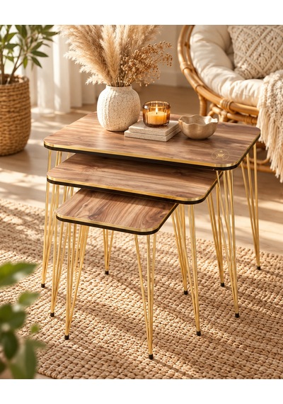 Odera Ceviz Detaylı Zigon Sehpa 3'lü Set Metal Ayaklı Modern Retro Salon Sehpası Diğer