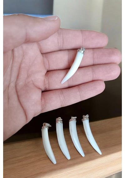 Sedef Fil Dişi Kolye 5 Adet Doğal Taş Kolye Orijinal Sertifikalı Doğal Taş Kolye 5 Adet Fildişi Kolye 5 Adet Fildişi Kolye Sedef Fil Dişi Kolye 5 Adet Doğal Taş Kolye Orijinal Sertifikalı Doğal Taş Kolye 5 Adet Fildişi Kolye 5 Adet Fildişi Kolye