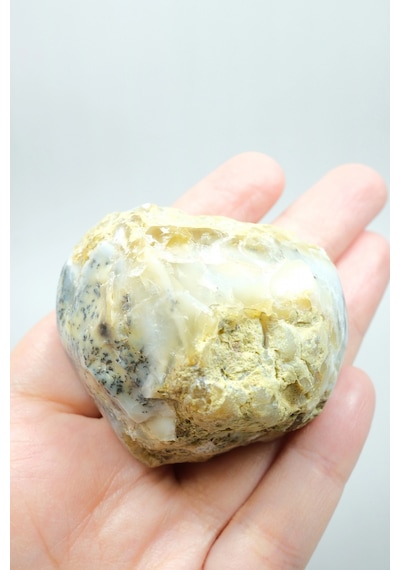Nadir Dendritik Opal "kış Ormanı" Dilimi - Cilalanmış Olağanüstü Bal, Mavi Ve Beyaz