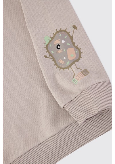 Panço Erkek Bebek Yumuşak Dokulu Taş Sweatshirt Gri