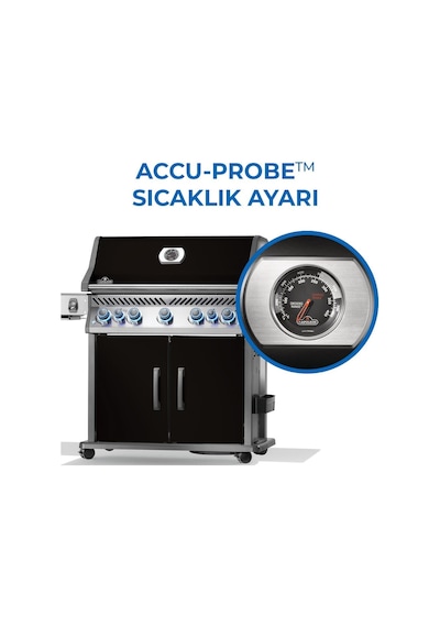 Rogue Pro S 625 Rsıb Gazlı Mangal Siyah