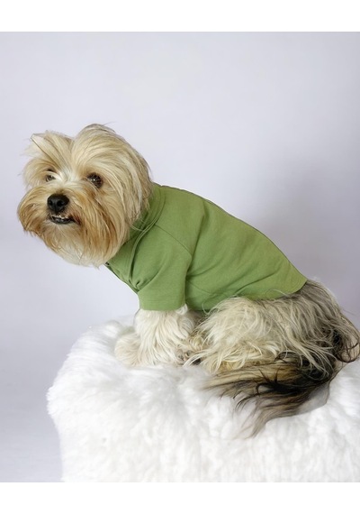 Grass Green Köpek Gömleği Köpek Kıyafeti Köpek Elbisesi