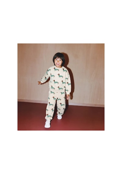 Poala Kids Dog Tutti Takım Çok Renkli