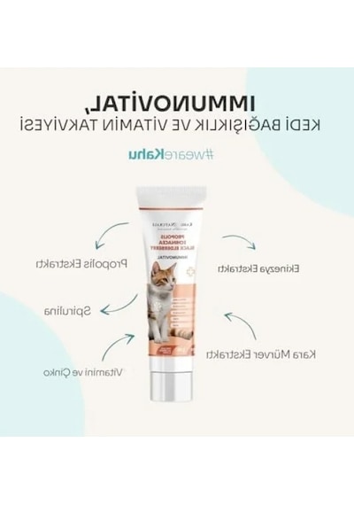 İmmün Sistem Destekleyici Kedi Vitamin Takviyesi 100 Ml