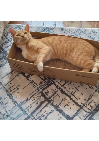 4'lü Kedi Tırmalama Özel Ahşap Kedi Yatağı, Kedi Tırmalama, Çift Yönlü Kedi Tırmalama Pedi, Tırmalama Karton