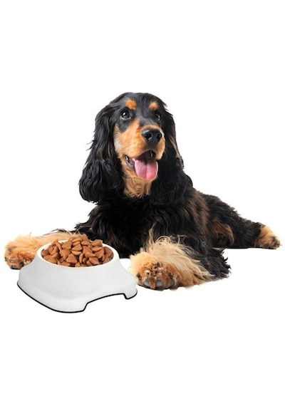 Silikon Kaydırmaz Taban Plastik Kedi Ve Köpek Mama Ve Su Kabı 2 L 5492