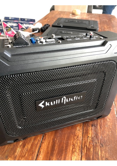 Skull Audio 20cm Koltuk Altı Subwoofer 250 Watt