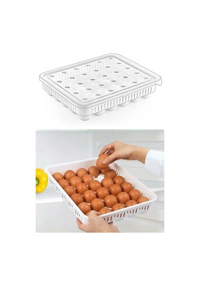 Lexroo 30'lu Kapaklı Yumurta Saklama Kabı, Akrilik Plastik Yumurta Saklama Kabı Çok Renkli