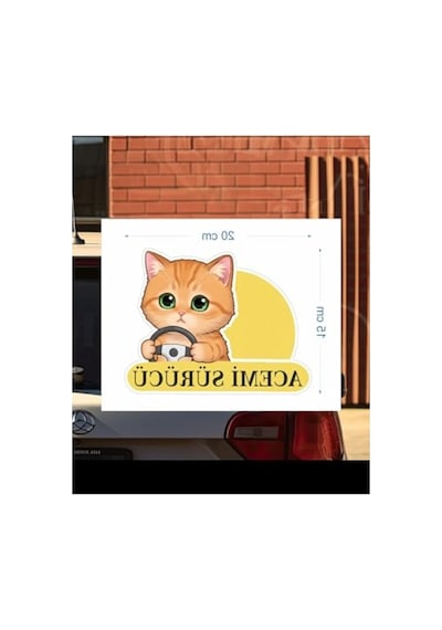 Sevimli Kedi Temalı Renkli Araba Etiketi Ve Sticker Seti Abanoz