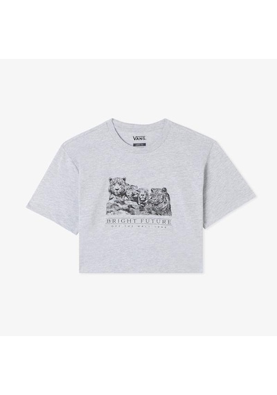 Vans Bright Future Relaxed Crop Kız Çocuk Gri Tişört Gri