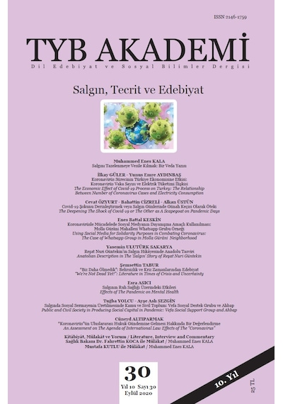 Tyb Akademi 30   Salgın Tecrit Ve Edebiyat