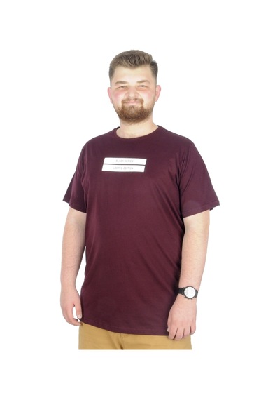 Mode Xl Büyük Beden T-Shirt Bis Yaka Black Series 22189 Mürdüm 001