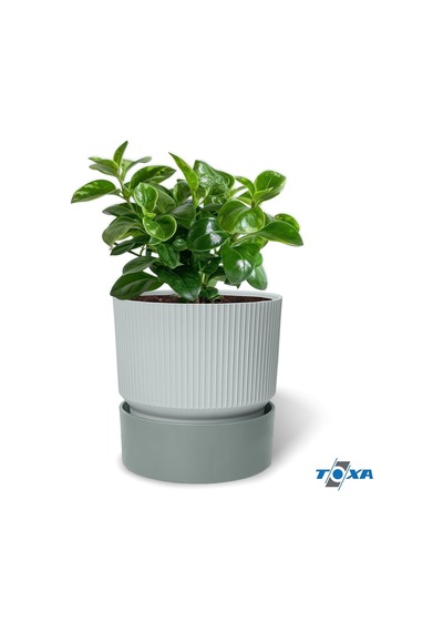 Iksora Saksı Dekoratif Tabaklı Çiçek Kaktüs Saksısı Mat Plastik 1 Adet, Gri, 0.4 Litre