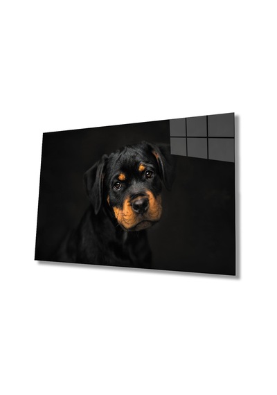 Köpek 6 Cam Tablo