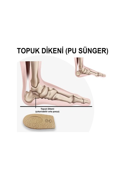 Lt05 - Deri Topuk Koruyucu - Topuk Dikeni Topuk Yükseltici Deri Topuk  38-40