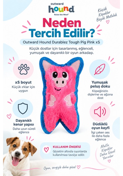 Petstages Durablez Tough Pig Pink Düdüklü Dayanıklı Peluş Köpek Oyuncağı Xsmall