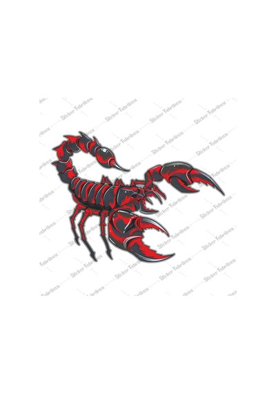Akrep Sticker 00464