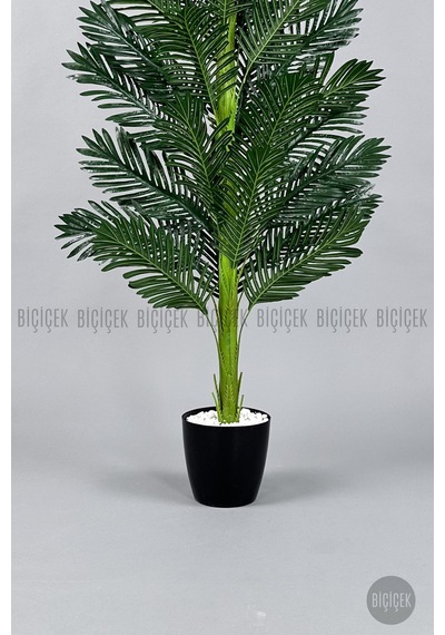 Yapay Areka Ağacı 160-180 Cm Bey