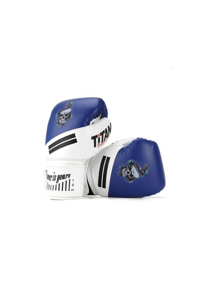 Titan Sport Mavi Beyaz Yılan Kurukafa Boks Eldiveni Çok Renkli