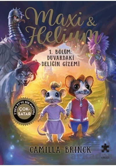 Maxi Ve Helium 1. Bölüm: Duvardaki Deliğin Gizemi