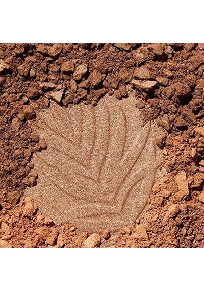 Wet N Wild Color Icon Palm Beach Ready E739a Bronzer Çok Renkli