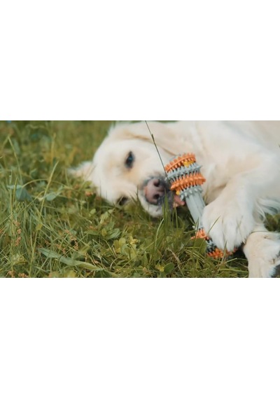 Twisstydog Kauçuk Köpek Çiğneme Oyuncağı, Ağız Temizleyici, Diş