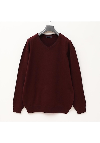 Dio Rise Erkek Uzun Kol İnce Sweatshirt - B180916 - Koyu Bordo Koyu Bordo