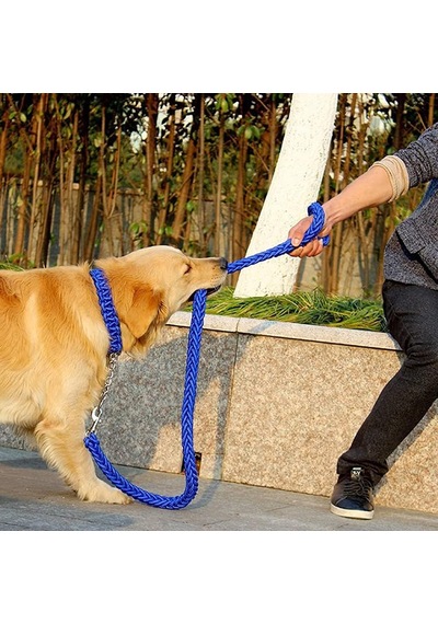Köpek Tasması Ve Tasma Seti, Ağır Hizmet Naylon Örgülü Halat Güçlü 4 Ft Köpek Tasma Ve Köpek Eğitim Tasması Küçük, Orta Büyük Köpekler İçin