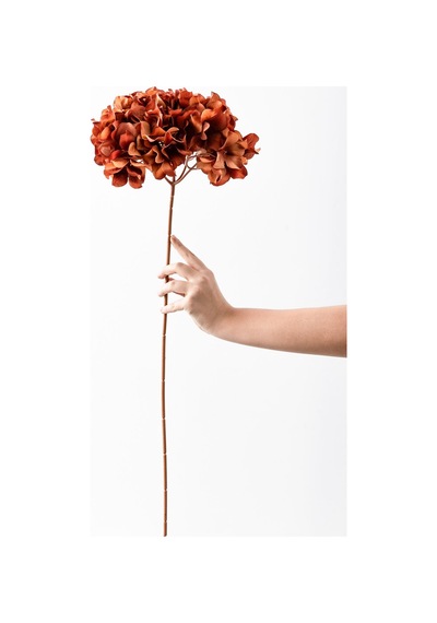 Yapay Vazo Çiçeği Ortanca 75 Cm 5 Dal Koyu Turuncu Turuncu