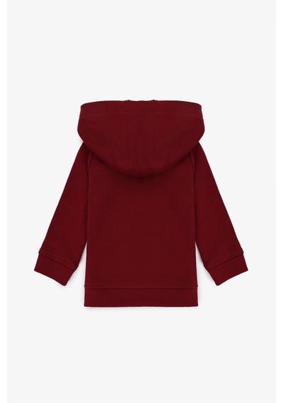 U.S. Polo Assn. Erkek Çocuk Bordo Sweatshirt 50316488-vr014