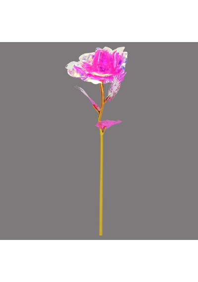Sonsuzluk Gülü, 25 Cm X 8cm - Pembe